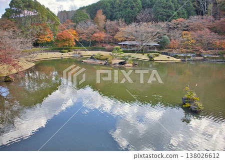 Scenery with a pond 138026612