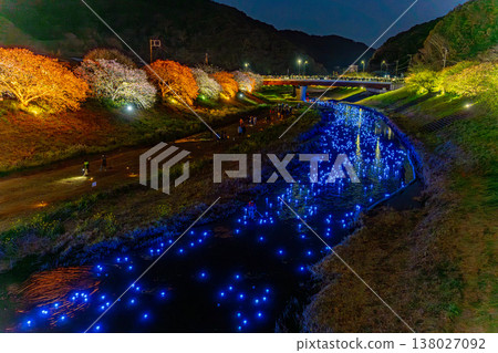 (Minamiizu Town, Shizuoka Prefecture) Minami Cherry Blossom and Rapeseed Flower Festival "Night Cherry Blossoms ☆ Shooting Stars" (Minamiizu Town, Shizuoka Prefecture) Minami Cherry Blossom and Rapeseed Flower Festival "Night Cherry Blossoms ☆ Shooting Stars" 138027092