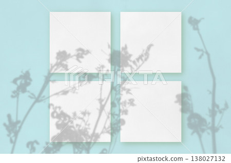Natural light casts shadows from the field grass on 4 square sheets of white paper lying on a blue background. Mockup Natural light casts shadows from the field grass on 4 square sheets of white paper lying on a blue background. Mockup 138027132