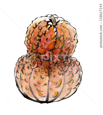 Kagaya pumpkin 138027143