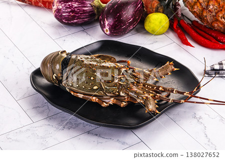 Raw wild fresh spiny lobster 138027652