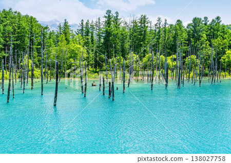 Biei Town, Hokkaido: Summer in Hokkaido - Shirogane Blue Pond Biei Town, Hokkaido: Summer in Hokkaido - Shirogane Blue Pond 138027758