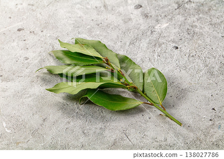 Fresh green laurel leves for cooking 138027786
