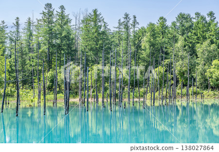 Biei Town, Hokkaido: Summer in Hokkaido - Shirogane Blue Pond Biei Town, Hokkaido: Summer in Hokkaido - Shirogane Blue Pond 138027864