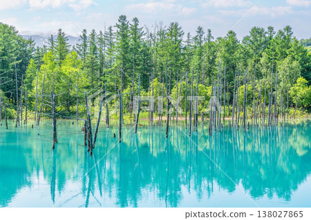 Biei Town, Hokkaido: Summer in Hokkaido - Shirogane Blue Pond Biei Town, Hokkaido: Summer in Hokkaido - Shirogane Blue Pond 138027865