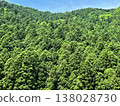 Japanese cedar plantations (beautiful forests of Japan) 138028730