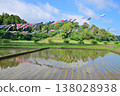 Carp streamers swimming in the blue sky at Tachibana Fureai Park in Katori City. 138028938