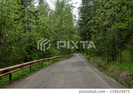 Forest Road Through Lush Green Trees With Cyclists On a Quiet Country Path Forest Road Through Lush Green Trees With Cyclists On a Quiet Country Path 138028973