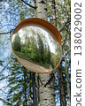 Convex Road Mirror Reflecting Forest Dirt Road Mounted On Birch Tree In Rural Setting 138029002