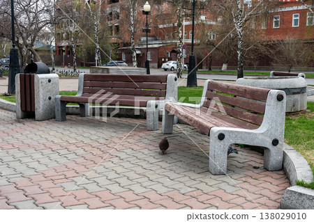 Empty Park Benches With Pigeon Near Trash Can in Urban Spring Plaza Empty Park Benches With Pigeon Near Trash Can in Urban Spring Plaza 138029010