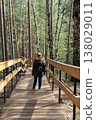 Young Woman Walking On Wooden Boardwalk Through Pine Forest With Backpack And Jacket 138029011