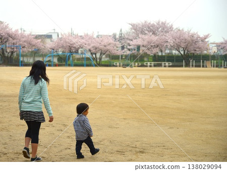 在櫻花盛開的公園裡散步。 在櫻花盛開的公園裡散步。 138029094