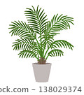 肯蒂亞棕櫚樹插圖 138029374