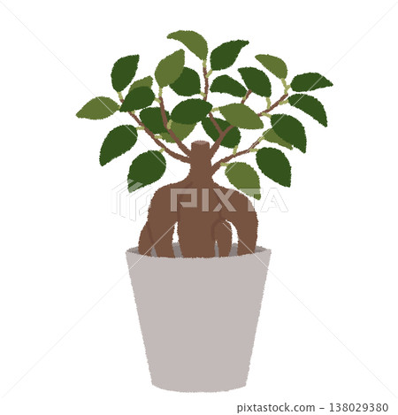 榕樹圖 138029380