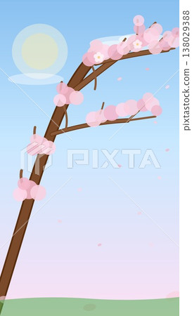 櫻花枝（智慧型手機桌布） 138029388