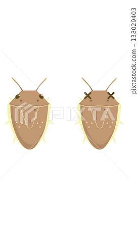 Illustration of a rice stink bug, a pest of rice plants. Illustration of a rice stink bug, a pest of rice plants. 138029403