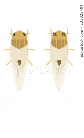 Illustration of a rice pest, the planthopper. Illustration of a rice pest, the planthopper. 138029404