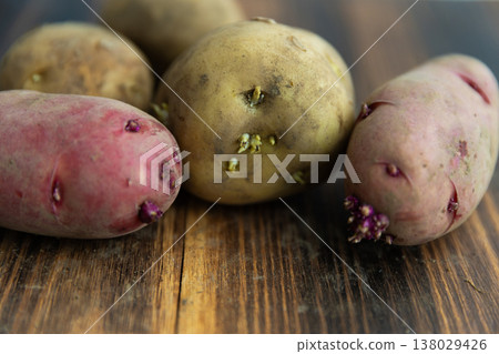 Potatoes with soil still attached and sprouting Potatoes with soil still attached and sprouting 138029426