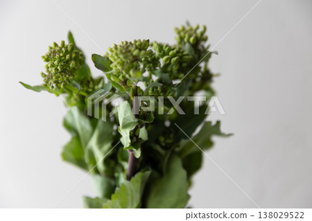 麵條麵條 麵條麵條 138029522