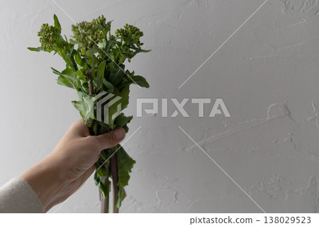 麵條麵條 麵條麵條 138029523