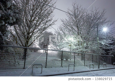 夜晚，公園和街道兩旁的樹木都被白雪覆蓋。 138029715