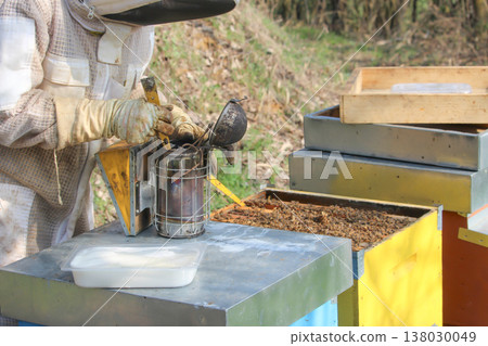 the beekeeper works with bees on honeycomb 138030049