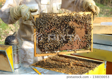 the beekeeper works with bees on honeycomb 138030053