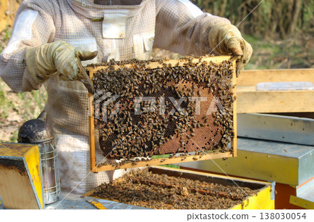 the beekeeper works with bees on honeycomb 138030054