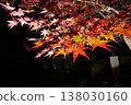 鮮紅的秋葉 138030160