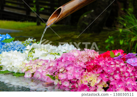 A scene of colorful hydrangeas decorating the grounds of a temple or shrine, with a water basin and water feature (2) A scene of colorful hydrangeas decorating the grounds of a temple or shrine, with a water basin and water feature (2) 138030511