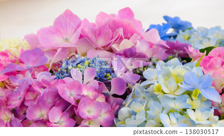 A water basin with three brightly colored hydrangeas. 138030517