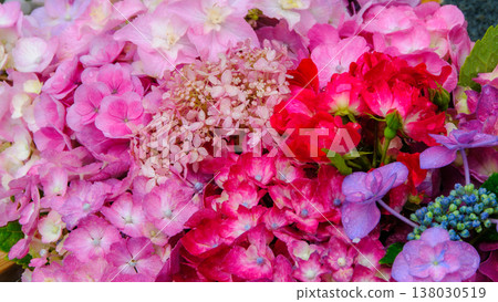 Five water basins with brightly colored hydrangeas 138030519