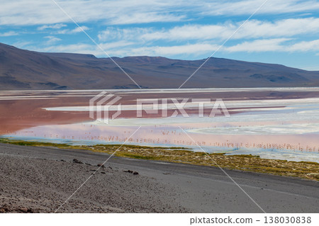 Breathtaking mountain landscape view of Laguna Colorada in Bolivia Breathtaking mountain landscape view of Laguna Colorada in Bolivia 138030838