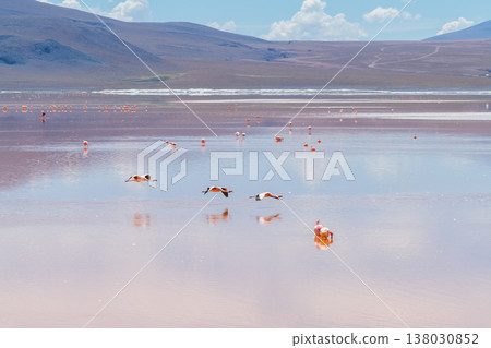 Serene landscape of Laguna Colorada red lake with flamingo in Bolivia 138030852