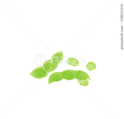 水彩插畫描繪了毛豆，展現了豆粒裸露在外、彷彿要蹦出來的景象。毛豆是一種零食/夏季蔬菜。 138031242