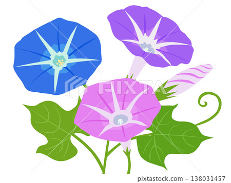 牽牛花花 牽牛花花 138031457