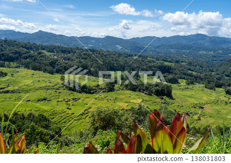 Terrace rice fields in the mountains of Toraja, Sulawesi, Indonesia Terrace rice fields in the mountains of Toraja, Sulawesi, Indonesia 138031803