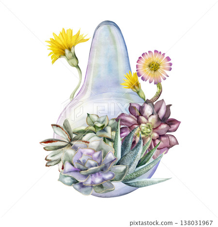 Succulent rosettes, flowering cacti stalk plants in glass bulb florarium. Isolated illustration hand drawn in watercolor. Organic cosmetics and skincare, handmade candles and soaps, zero-waste stores 138031967