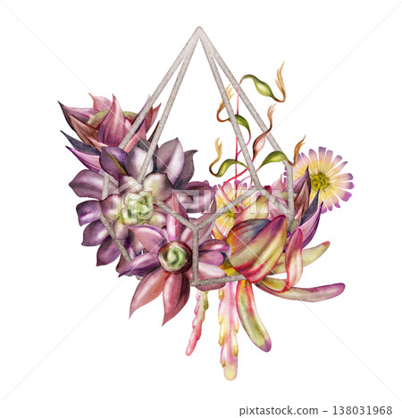 Exotic flowers, vines, rosette succulents in diamond pyramid silver wireframe holder hand painted in watercolor. Isolated illustration for interior design logos, lifestyle blogs, modern invitations. 138031968