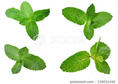 Collection of fresh mint leaves isolated on white background. Collection of fresh mint leaves isolated on white background. 138032448