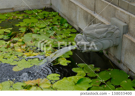 Stone Dragon Head Fountain Spout with Water Flowing in Chi Lin Nunnery, Hong Kong Stone Dragon Head Fountain Spout with Water Flowing in Chi Lin Nunnery, Hong Kong 138033400