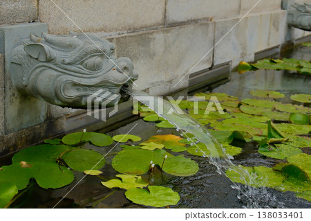 Stone Dragon Head Fountain Spout with Water Flowing in Chi Lin Nunnery, Hong Kong 138033401