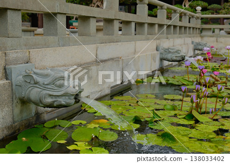 Stone Dragon Head Fountain Spout with Water Flowing in Chi Lin Nunnery, Hong Kong Stone Dragon Head Fountain Spout with Water Flowing in Chi Lin Nunnery, Hong Kong 138033402