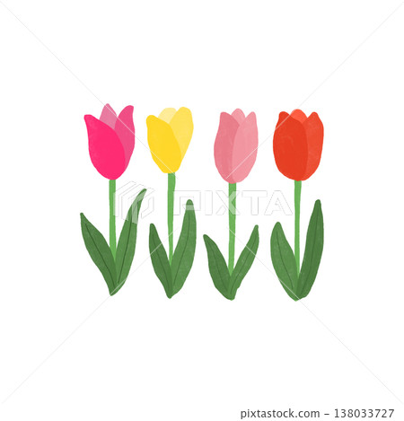 鬱金香圖 138033727