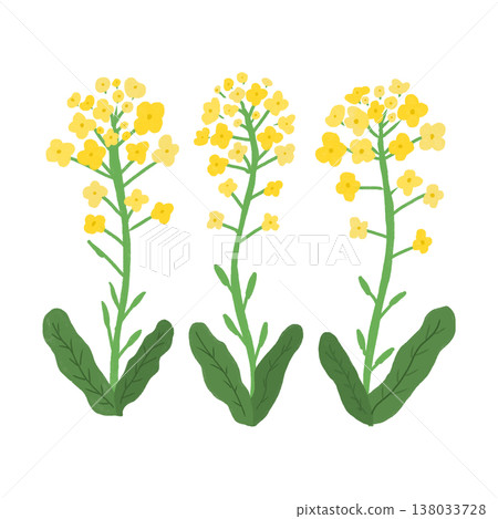 強姦開花例證 138033728