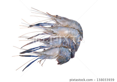 fresh shrimp prawn isolated on white background 138033939