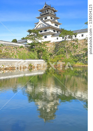[Ehime Prefecture] Imabari Castle in sunny weather 138034125