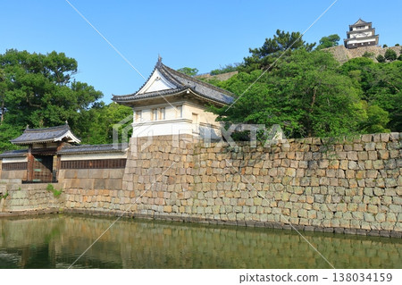 [Kagawa Prefecture] Marugame Castle and Otemon Gate on a clear day 138034159