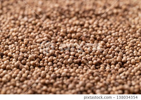 Close up of coriander seeds texture for background, Thai food ingredients 138034354