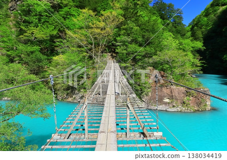 [靜岡縣]晴天下的須俁峽夢之鶴橋 138034419